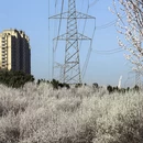 大连旅游 缩略图 12