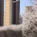 大连旅游 缩略图 6