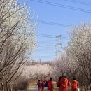 大连旅游 缩略图 11