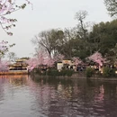 无锡旅游 缩略图 10