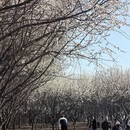 大连旅游 缩略图 14