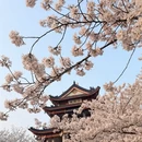 无锡旅游 缩略图 6