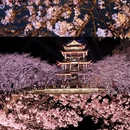 无锡旅游 缩略图 1