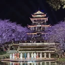 无锡旅游 缩略图 3