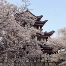 无锡旅游 缩略图 12