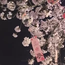 无锡旅游 缩略图 2