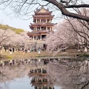 无锡旅游 缩略图 5