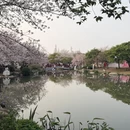 无锡旅游 缩略图 11