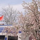 天津旅游 缩略图 9