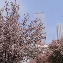 天津旅游 缩略图 10
