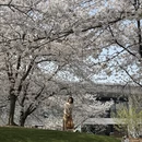 上海旅游 缩略图 1
