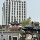 南京旅游 缩略图 12