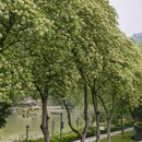 广州旅游 缩略图 5