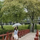 广州旅游 缩略图 6