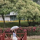 广州旅游 缩略图 7