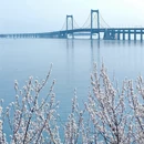 大连旅游 缩略图 2
