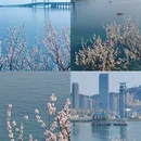 大连旅游 缩略图 1