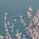 大连旅游 缩略图 3