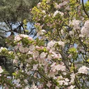 北京旅游 缩略图 3