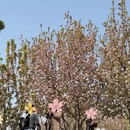 北京旅游 缩略图 5