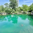 济南旅游 缩略图 13