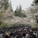 南京旅游 缩略图 1