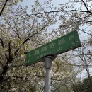 南京旅游 缩略图 3