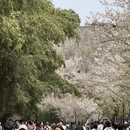 南京旅游 缩略图 2