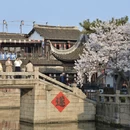 嘉兴旅游 缩略图 10