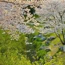 南京旅游 缩略图 1