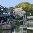 嘉兴旅游 缩略图 12