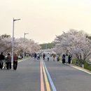 南京旅游 缩略图 5