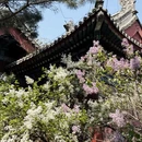 北京旅游 缩略图 1