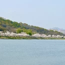 南京旅游 缩略图 2