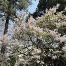 北京旅游 缩略图 5