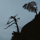 上饶旅游 缩略图 4