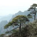 上饶旅游 缩略图 6