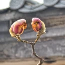 北京旅游 缩略图 7