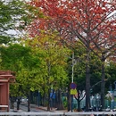 深圳旅游 缩略图 12