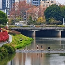 深圳旅游 缩略图 17