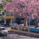 深圳旅游 缩略图 3