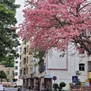 深圳旅游 缩略图 8