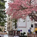深圳旅游 缩略图 9