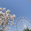 深圳旅游 缩略图 1