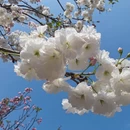 深圳旅游 缩略图 2