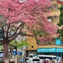 深圳旅游 缩略图 3
