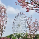 深圳旅游 缩略图 1