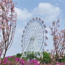 深圳旅游 缩略图 2