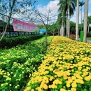 深圳旅游 缩略图 6