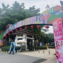 深圳旅游 缩略图 2